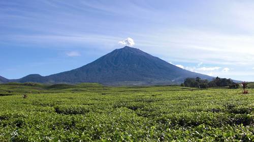 gunung tertinggi di indonesia kerinci