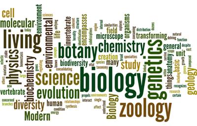 Bioteknologi merupakan salah satu cabang biologi yang termasuk ilmu terapan contoh peranan bioteknologi di bidang lingkungan adalah